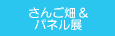 �T���S�p�l���W